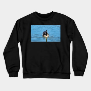 Canada Goose Swimming Towards The Camera Crewneck Sweatshirt